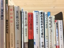 名著複刻 漱石文学館 全23点・別冊「解説」揃+15点/夏目漱石　YDD494_画像2