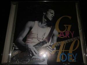 ★☆Gary Hoey 1st ゲイリーホーイ 日本盤★☆17430