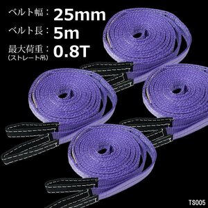 ナイロンスリングベルト【4本セット】幅25mm×5m 耐荷800kg ベルトスリング 紫/22