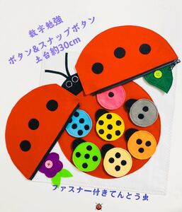  intellectual training toy fastener attaching ladybug. button .. practice 