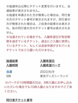 東京ディズニーランド　6/9(木) 3枚セット　SUISUI SUMMER 株主優待券　チケット　TDRパスポート_画像2