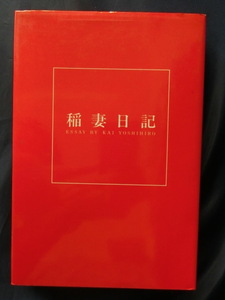 稲妻日記　甲斐よしひろ　ESSAY　BY　KAI　YOSHIHIRO　初版