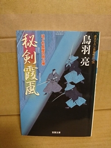 鳥羽亮『はぐれ長屋の用心棒19　秘剣霞颪』双葉文庫　シリーズ第19弾