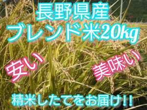 【白米】長野県産ブレンド米20キロ（10キロ×2袋）長野産米100％ つきたてをお届けします！！