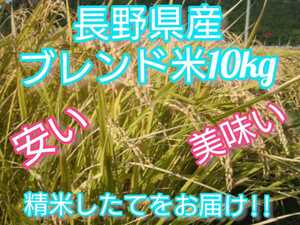 【白米】長野県産ブレンド米 10キロ　長野産米100％ つきたてをお届けします!!