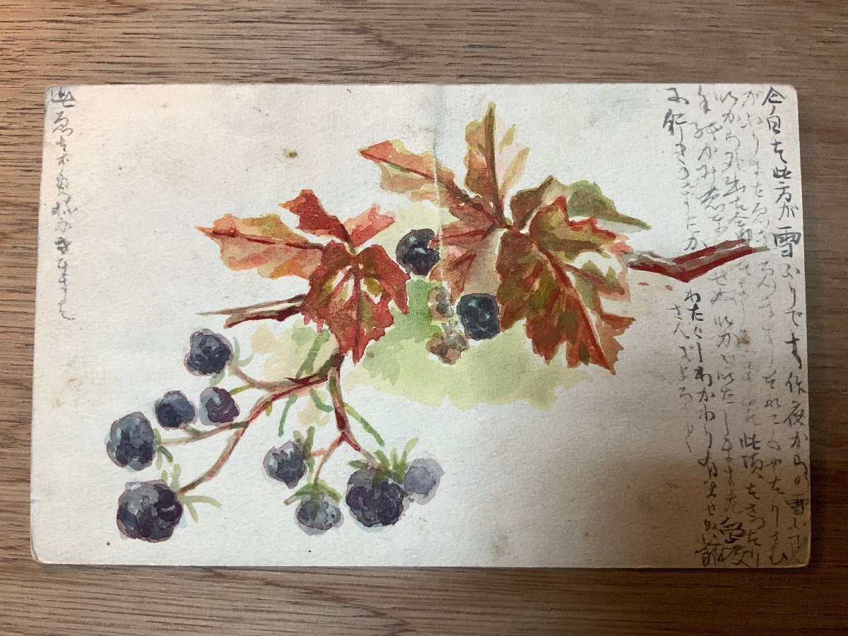 PP-2041 ■Free shipping■ Fruit Fruit Painting Art Painting Illustration Hand-painted Entire Letter Stamp ●Folded Postcard Photo Printed material Old photo/KNA et al., printed matter, postcard, Postcard, others