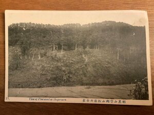 PP-2287 ■送料無料■ 山形県 出羽 羽黒山 松林 自然 風景 景色 絵葉書 写真 印刷物 古写真/くNAら