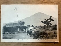 PP-2479 ■送料無料■ 富士山 御殿場口 一里松 馬 人 山 登山 自然 世界遺産 絵葉書 写真 古写真/くNAら_画像1