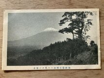 PP-2461 ■送料無料■ 静岡県 御殿場市 富士山 足柄山より 山 世界遺産 風景 景色 絵葉書 写真 古写真/くNAら_画像1