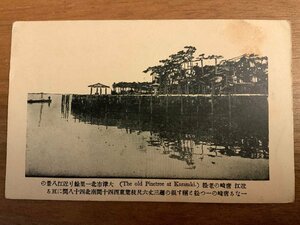 PP-2775 ■送料無料■ 滋賀県 近江 唐崎の老松 松の木 絵葉書 写真 印刷物 古写真/くNAら