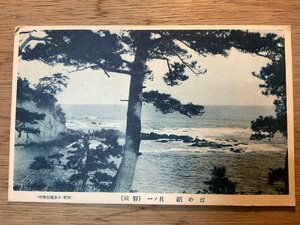 PP-2964 ■送料無料■ 福島県 磐城 江の綱 海岸 海辺 海 風景 景色 絵葉書 印刷物 写真 古写真/くNAら