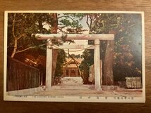 PP-3087 ■送料無料■ 宮崎県 日向 青島神社 鳥居 建物 神社 寺 宗教 絵葉書 写真 印刷物 古写真/くNAら_画像1