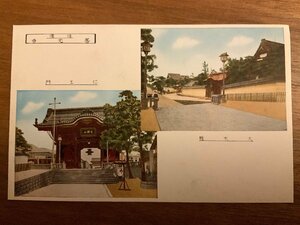 ■送料無料■ 信濃 善光寺 提灯 門 仁王門 看板 扁額 神社 寺 宗教 長野県 信州 建築物 建物 絵葉書 写真 印刷物/くNAら/EE-9792