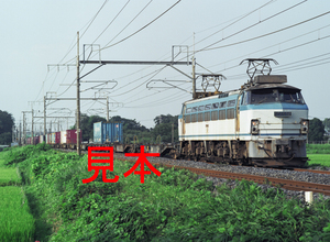 鉄道写真、645ネガデータ、147983610001、EF66-52＋貨物、JR東北本線、東大宮〜蓮田、2006.08.20、（4591×3362）