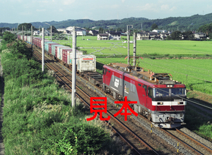 鉄道写真、645ネガデータ、148183660010、EH500-9＋貨物、JR東北本線、本宮〜五百川、2006.08.31、（4511×3303）