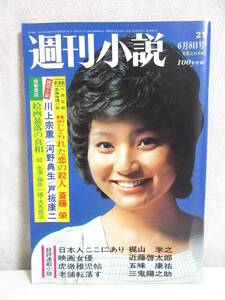 週刊小説 昭和48年 6月8日号 表紙 仁科明子 実業之日本社 RY155