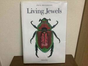 ☆送料無料☆【洋書】『Ｌⅰⅴⅰｎｇ Ｊｅｗｅｌｓ -甲虫類の自然なデザイン-』[中古品]