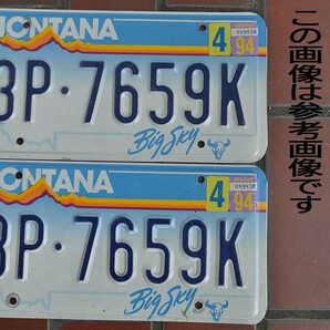 送料込み 前後セット中古実物本物 アメ車ライセンスプレート MONTANA BigSky ナンバー１台分２枚cartagsの画像9