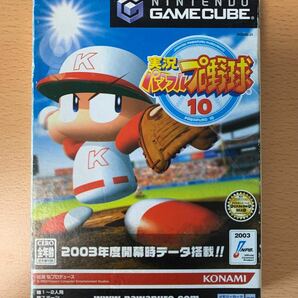 NGC(ニンテンドーゲームキューブ) 実況パワフルプロ野球10 