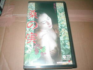 桑の実　韓国映画　1993年　VHS（イム・オッキョン／チョン・インチョル／チェ・ミン）コロムビア