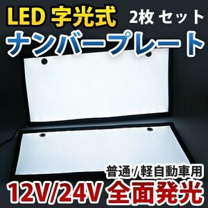 LEDナンバープレート 字光式 電光式 超薄型 激白 字光式 12V/24V兼用 全面発光 8mm 前後 2枚 セット CPD04