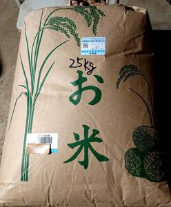 2021年産　コシヒカリ玄米約25㎏　1等米　農家のこだわり米　食味検査有り 80以上　精米・送料無料　（無洗米も可能） 