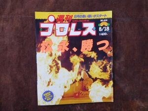 週刊プロレス　1992　8月　松永　ファイアーデスマッチ　越中　蝶野　長州　橋本　藤波　三沢光晴　昭和　プロレス　新日本　全日本　WWF