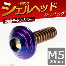 M5×20mm シェルヘッド タッピングネジ ステンレス 六角穴付きネジ いつもと異なるネジへ 焼きチタンカラー 1個 TC0089_画像1