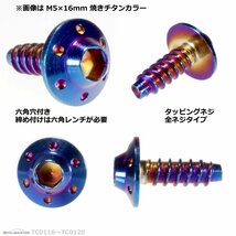 M4×12mm ホールヘッド H-1 タッピングネジ ステンレス 六角穴付きネジ 車/バイク ドレスアップパーツ 焼きチタンカラー 1個 TC0116_画像2