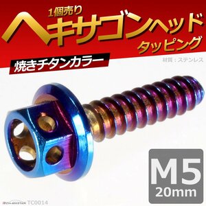 M5×20mm ヘキサゴンヘッド タッピングネジ ステンレス 六角タッピングネジ いつもと異なるネジへ 焼きチタンカラー 1個 TC0014