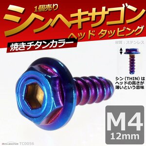 M4×12mm シンヘキサゴンヘッド タッピングネジ ステンレス 六角タッピングネジ 車/バイク ドレスアップパーツ 焼きチタンカラー 1個TC0056