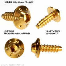 M5×20mm ホールヘッド H-1 タッピングネジ ステンレス 六角穴付きネジ いつもと異なるネジへ ゴールド 1個 TC0114_画像2