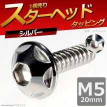 M5×20mm スターヘッド タッピングネジ ステンレス 六角穴付きネジ いつもと異なるネジへ シルバー 1個 TC0124_画像1