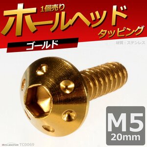 M5×20mm ホールヘッド タッピングネジ ステンレス 六角穴付きネジ いつもと異なるネジへ ゴールド 1個 TC0069