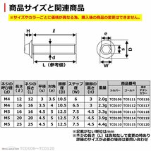 M5×20mm ホールヘッド H-1 タッピングネジ ステンレス 六角穴付きネジ いつもと異なるネジへ ゴールド 1個 TC0114_画像3