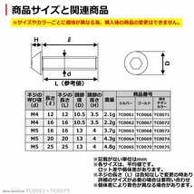 M5×20mm ホールヘッド タッピングネジ ステンレス 六角穴付きネジ いつもと異なるネジへ ゴールド 1個 TC0069_画像3