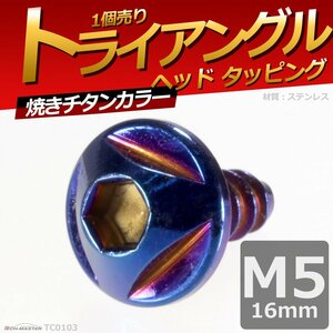 M5×16mm トライアングルヘッド タッピングネジ 六角穴付きネジ ロードバイクなど ドレスアップパーツ 焼きチタンカラー 1個 TC0103