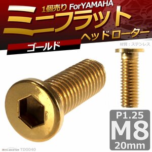 M8×20mm P1.25 ブレーキディスク ローターボルト ヤマハ用 ミニフラットヘッド 六角穴付きネジ 車/バイク ゴールド 1個 TD0040