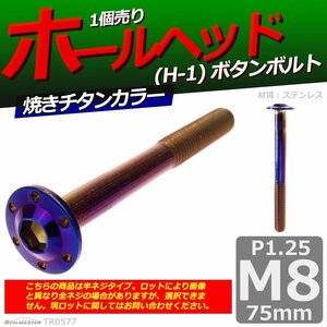 M8×75mm P1.25 ボタンボルト ホールヘッド H-1 ステンレス 車/バイク/自転車 ドレスアップ パーツ 焼きチタンカラー 1個 TR0577