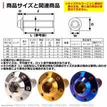 M5×25mm P0.8 ボタンボルト ホールヘッド H-1 ステンレス 車/バイク/自転車 ドレスアップ パーツ 焼きチタンカラー 1個 TR0203_画像3