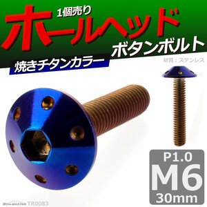 M6×30mm P1.0 ボタンボルト ホールヘッド ステンレス 車/バイク/自転車 ドレスアップ パーツ 焼きチタンカラー 1個 TR0083