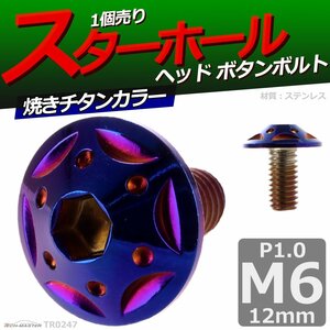 M6×12mm P1.0 ボタンボルト スターホールヘッド ステンレス 車/バイク/自転車 ドレスアップ パーツ 焼きチタンカラー 1個 TR0247