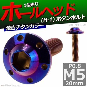 M5×20mm P0.8 ボタンボルト ホールヘッド H-1 ステンレス 車/バイク/自転車 ドレスアップ パーツ 焼きチタンカラー 1個 TR0202