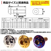 M5×25mm P0.8 ボタンボルト スターホールヘッド ステンレス 車/バイク/自転車 ドレスアップ パーツ ゴールド 1個 TR0231_画像3