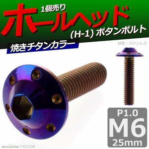 M6×25mm P1.0 ボタンボルト ホールヘッド H-1 ステンレス 車/バイク/自転車 ドレスアップ パーツ 焼きチタンカラー 1個 TR0208