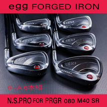 プロギア egg エッグ FORGED フォージド Iron アイアン 2019 egg オリジナルスチールシャフト M-40 SR 6番～9番 Pｗ Aw　6本組_画像3