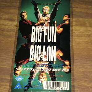 送料込み BIG FUN ビッグファン / リヴィングフォーユアラヴ 8cmSCD 即決