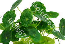 モダン　家庭　屋内　オフィス　植物　盆栽　シミュレーション　緑の植物鉢植え　北欧風　店舗DIY装飾品_画像2