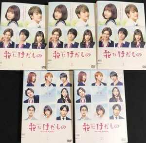 即決!送料無料 DVD 花にけだもの 全3巻 + Second Season 全2巻 合計5枚セット レンタル落ち 連続ドラマ 中村ゆりか 杉野遥亮