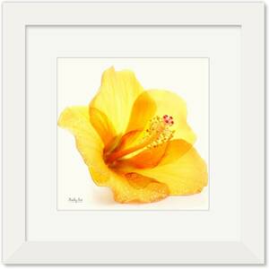 Art hand Auction Peinture Hibiscus Fleur Art Moderne Intérieur Photo Encadrée Art Panneau Encadré Peinture Art Bonne Chance Feng Shui Fleur Jaune Améliorer La Chance Nouveau 36x36 cm, ouvrages d'art, peinture, autres